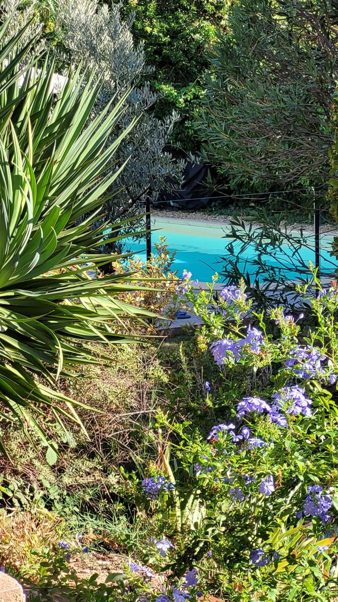 Mas Des Marguerites Bed & Breakfast Maussane-les-Alpilles Exterior photo
